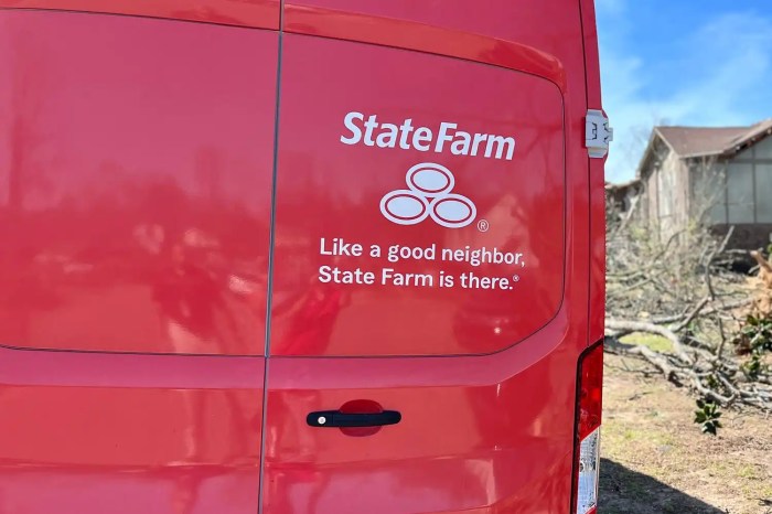 State farm auto insurance roadside assistance