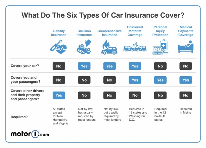 State farm car insurance rates