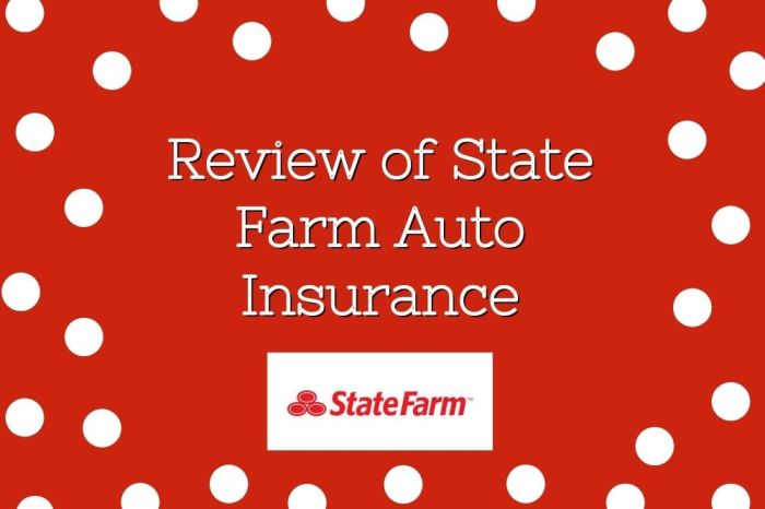 State farm car insurance review